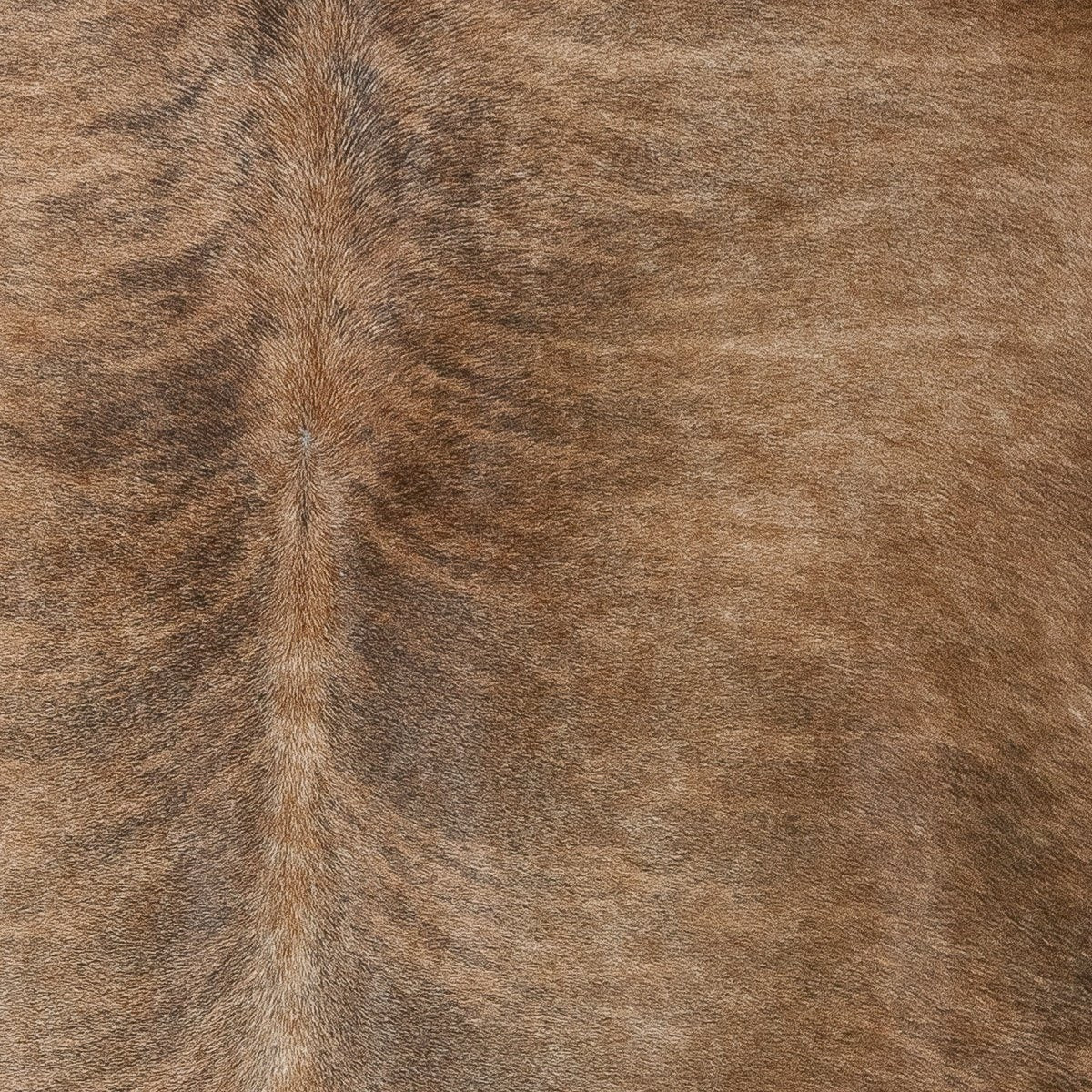 Exotic Natural Brindle Cowhide Large