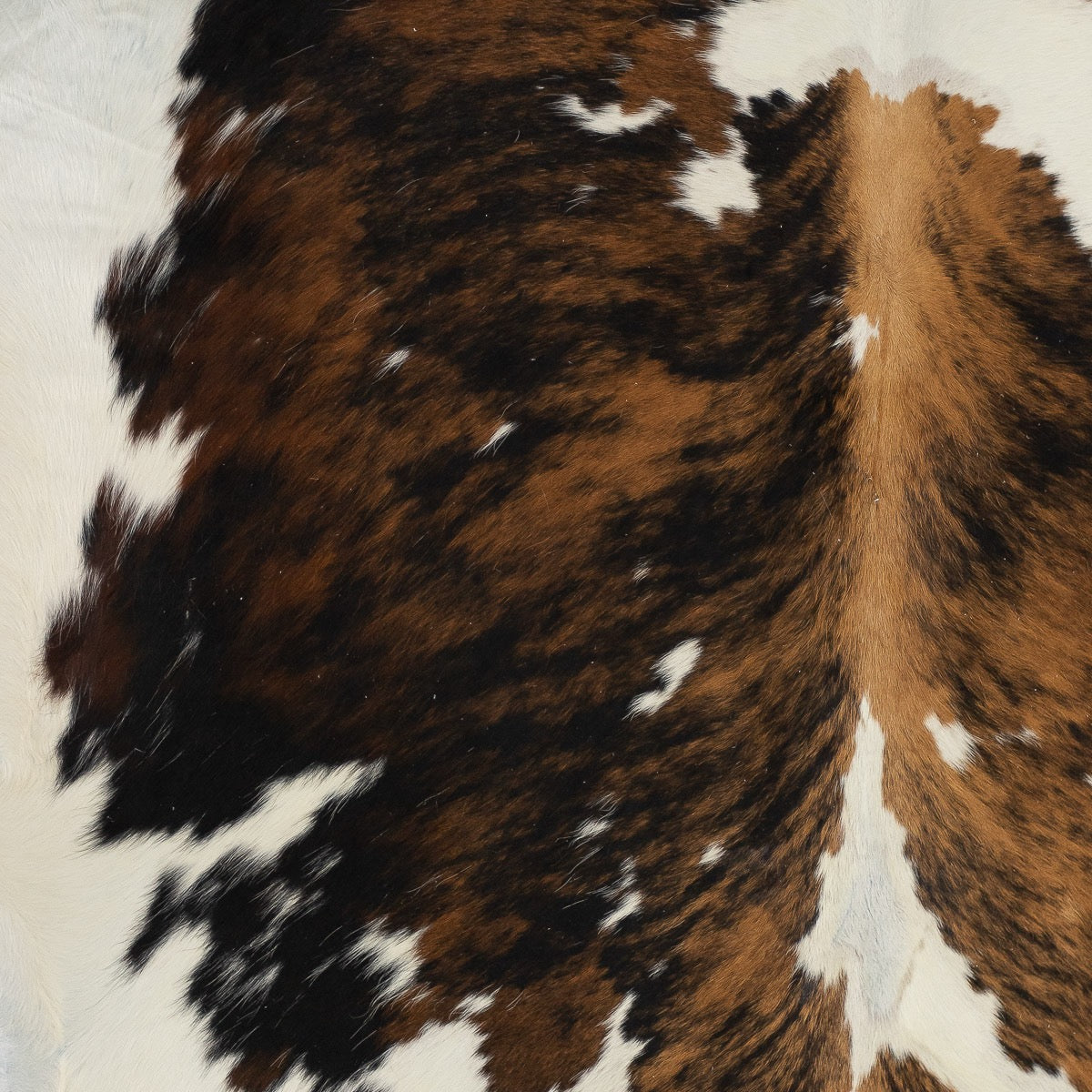 Natural Tricolored Cowhide Medium